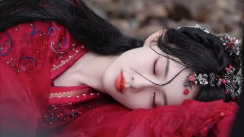 黑熊超市入侵事件