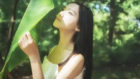 杭州雨后出现地衣