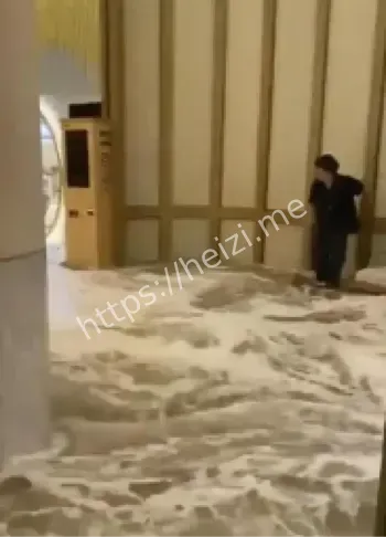 香港富丽敦海洋公园酒店